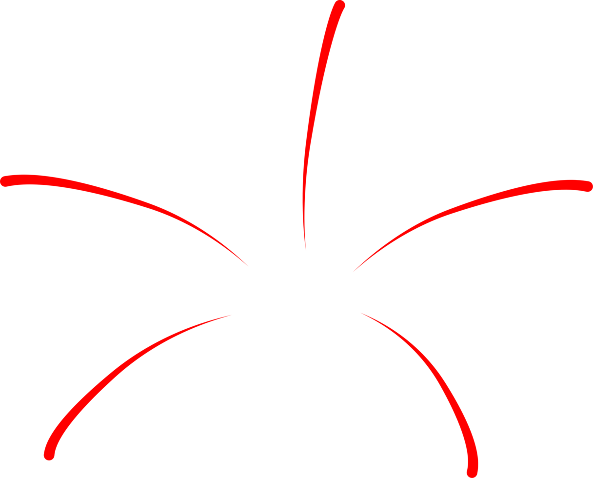 Firework party decoration png