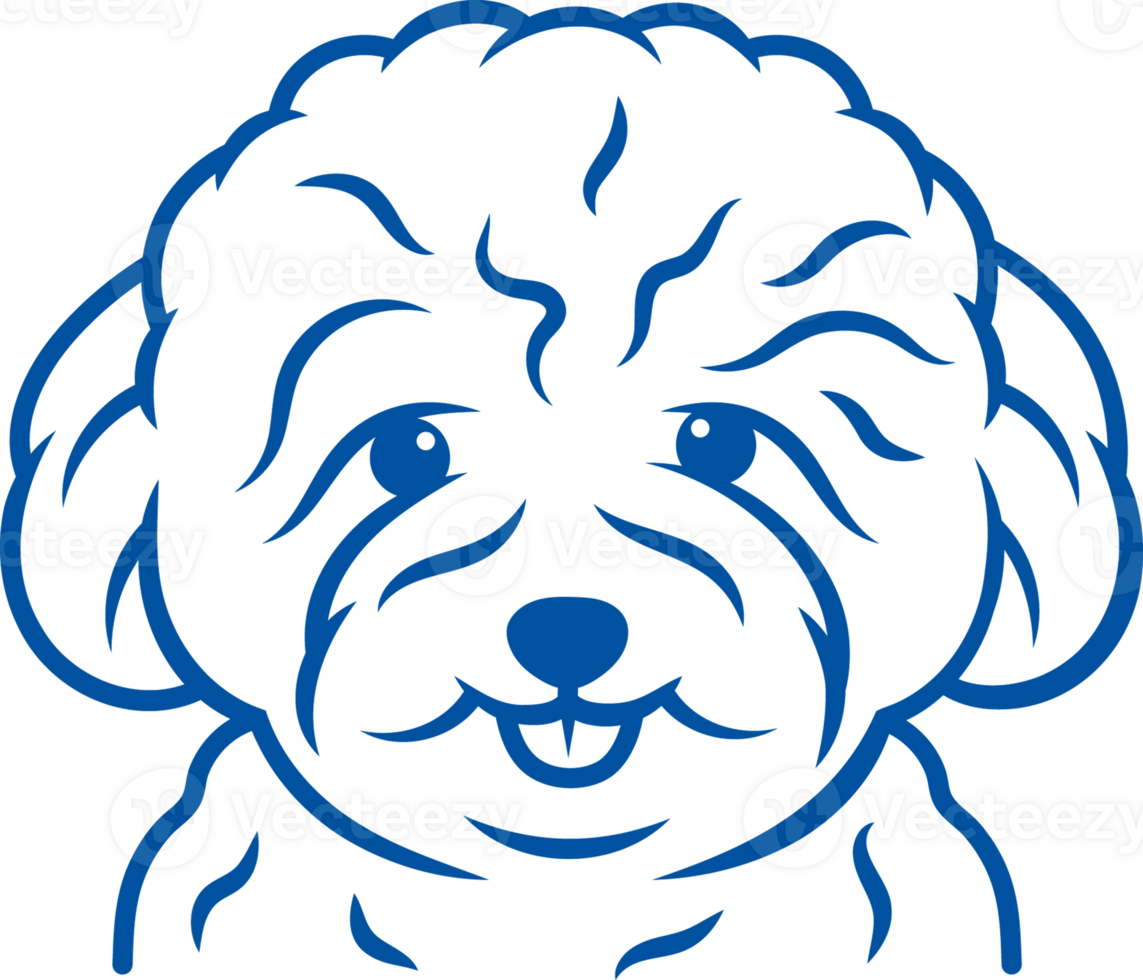 Shih Tzu dog looks at screen, for magazine about veterinary medicine and rules for handling puppies png