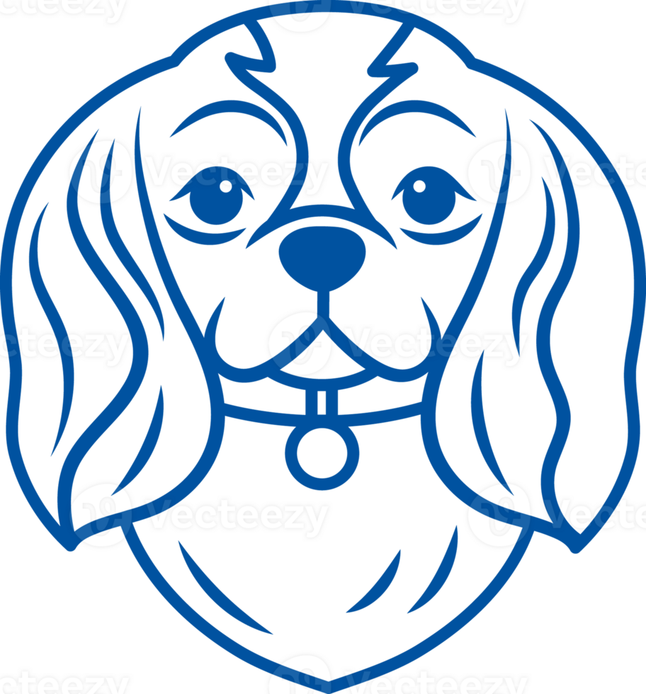 Muzzle of cavalier king charles spaniel dog with collar, for brace with story about breed of puppy png