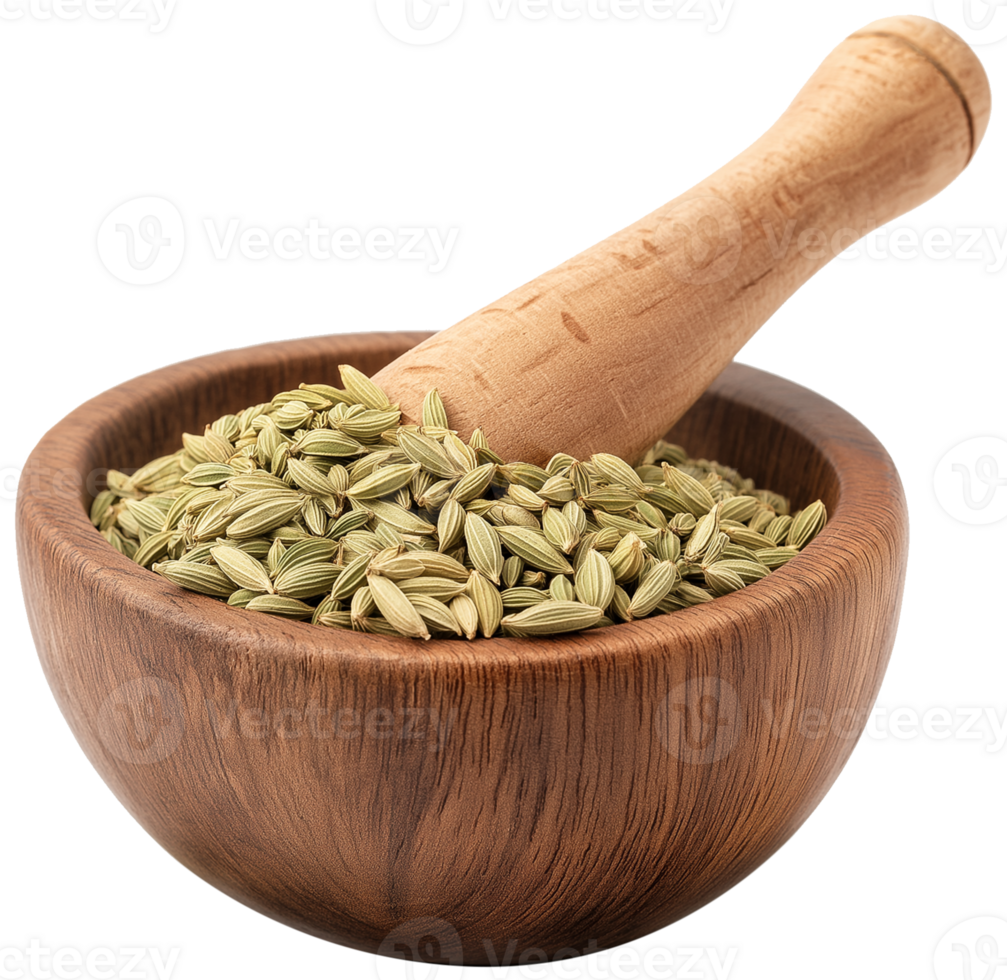 Fennel Plant isolated - Fresh fennel spice in a wooden mortar illustration png