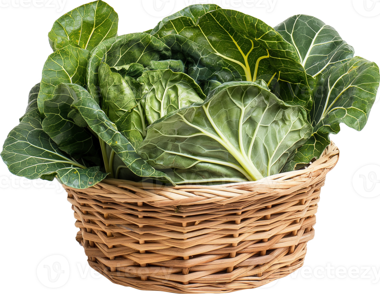 Collard Greens Vegetable isolated - Fresh Collard Greens vegetable in a basket illustration - Green Vegetable Clipart png