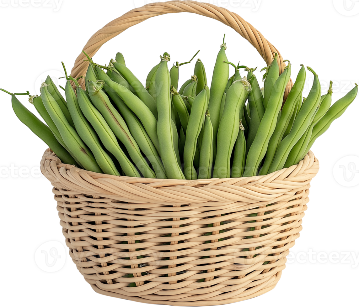 Green Beans vegetable isolated - Green Beans clipart - French beans in a basket illustration png