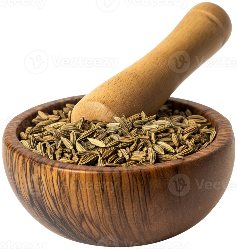 Fennel Plant isolated - Fresh fennel spice in a wooden mortar illustration png