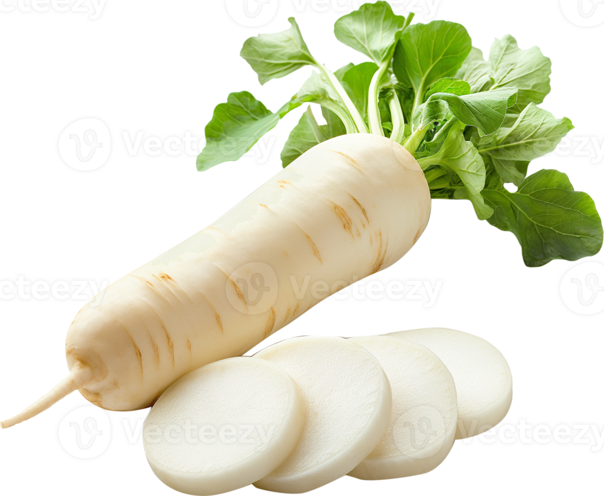 Daikon Clipart - Daikon Radish vegetable isolated - Daikon Radish Sliced and chopped illustration png