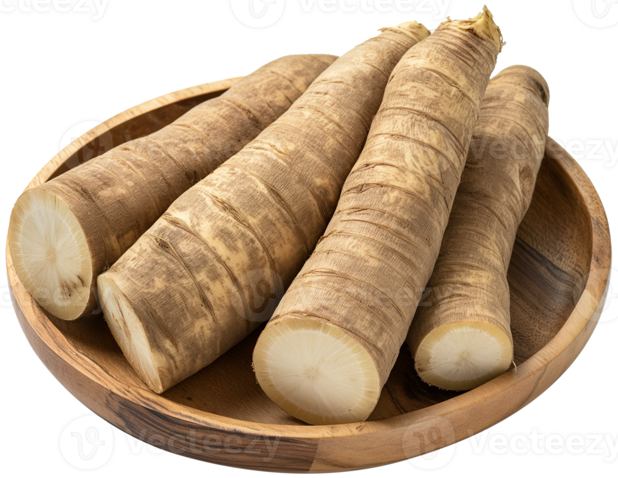 Burdock Root isolated, Arctium Clipart, Fresh Burdock root in a wooden board illustration png