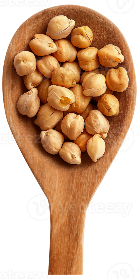 Chickpea isolated, Legume Clipart, wooden spoon holding dry chickpeas illustration png