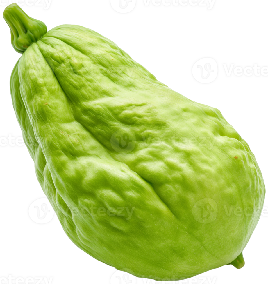 Chayote Vegetable isolated, Sechium edule Clipart, Raw chayote vegetable illustration png