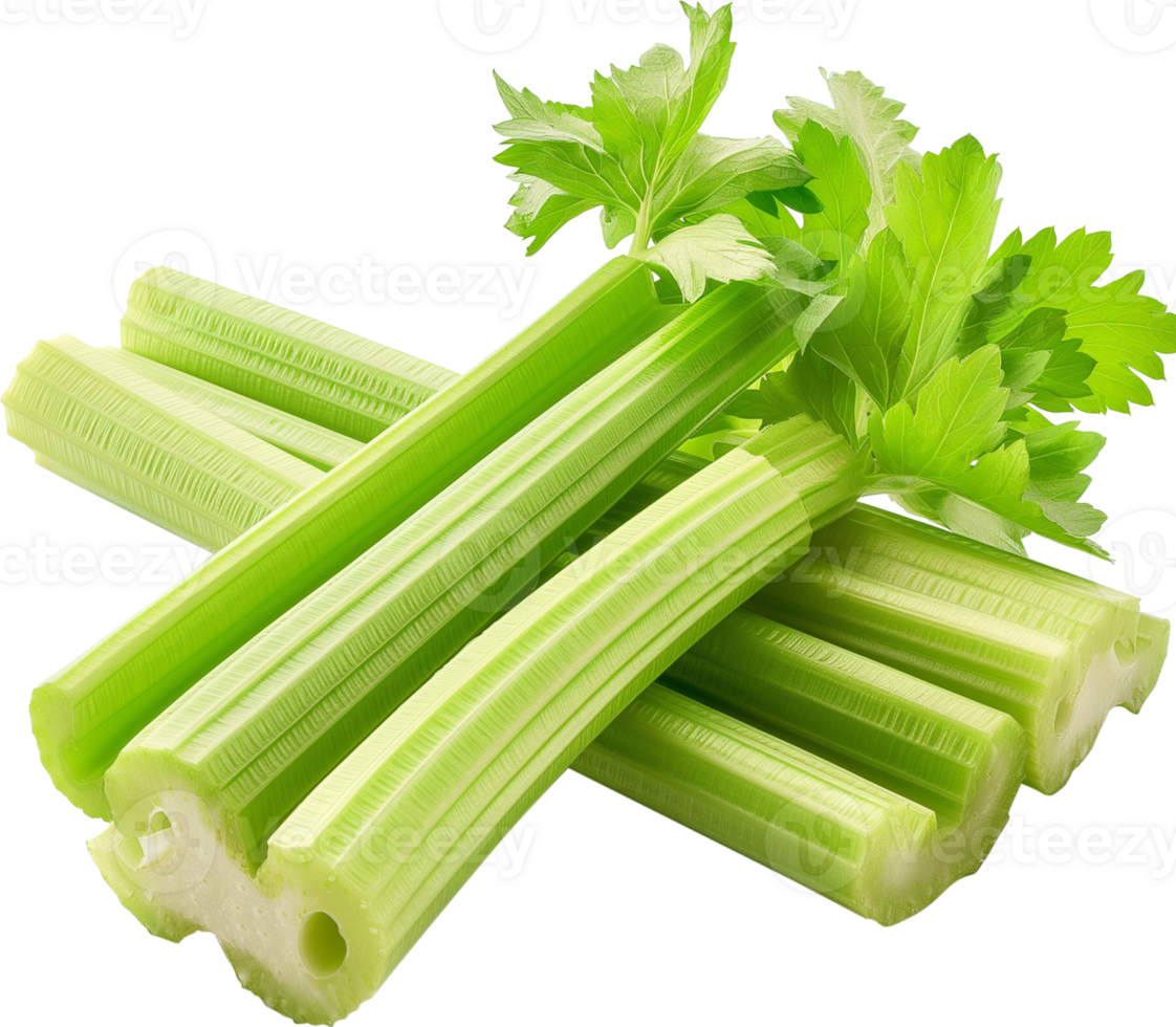 Celery Vegetable isolated - raw celery vegetable illustration png