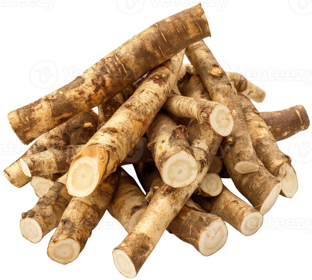 Burdock Root isolated, Arctium Clipart, Fresh Burdock roots illustration png