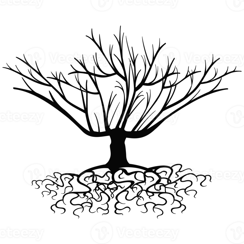 Old dark trees with roots, Black silhouette dead tree png
