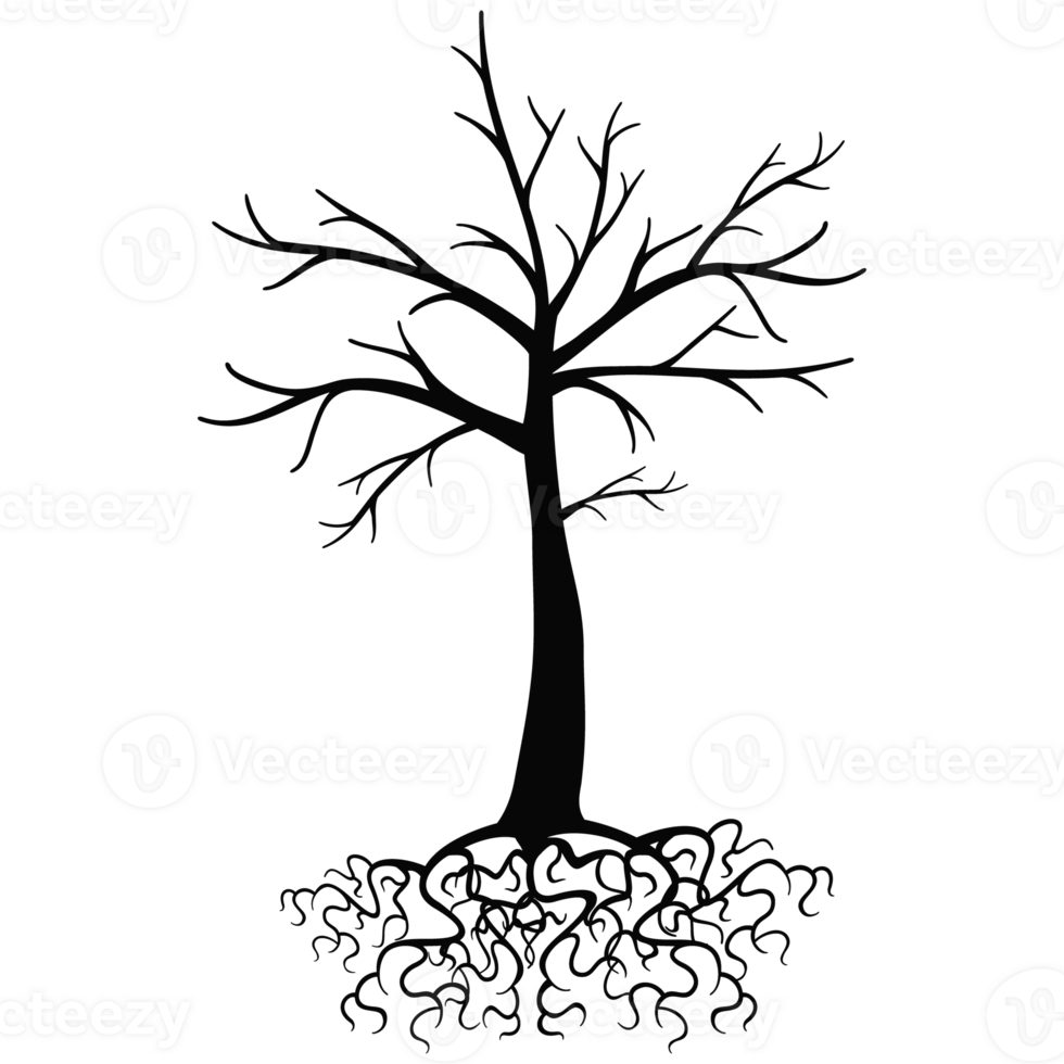 oud donker bomen met wortels, zwart silhouet dood boom png