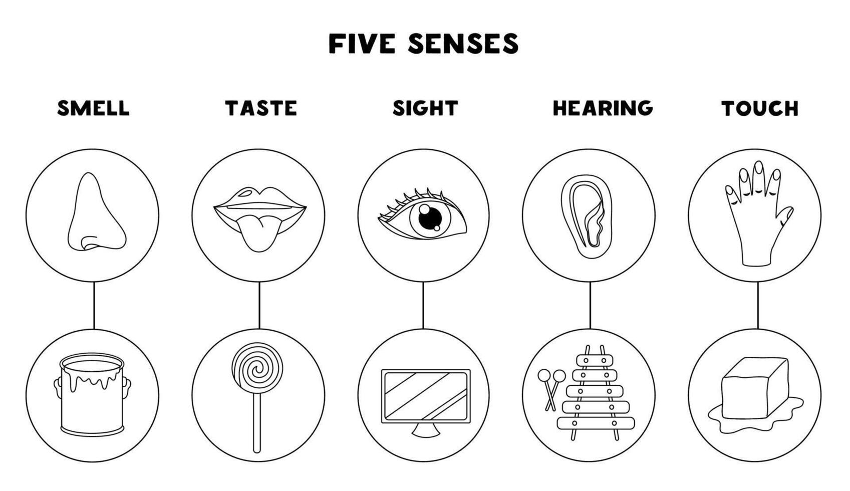 Five senses organs, illustration. Sight hearing taste touch smell. Black and white worksheet. vector