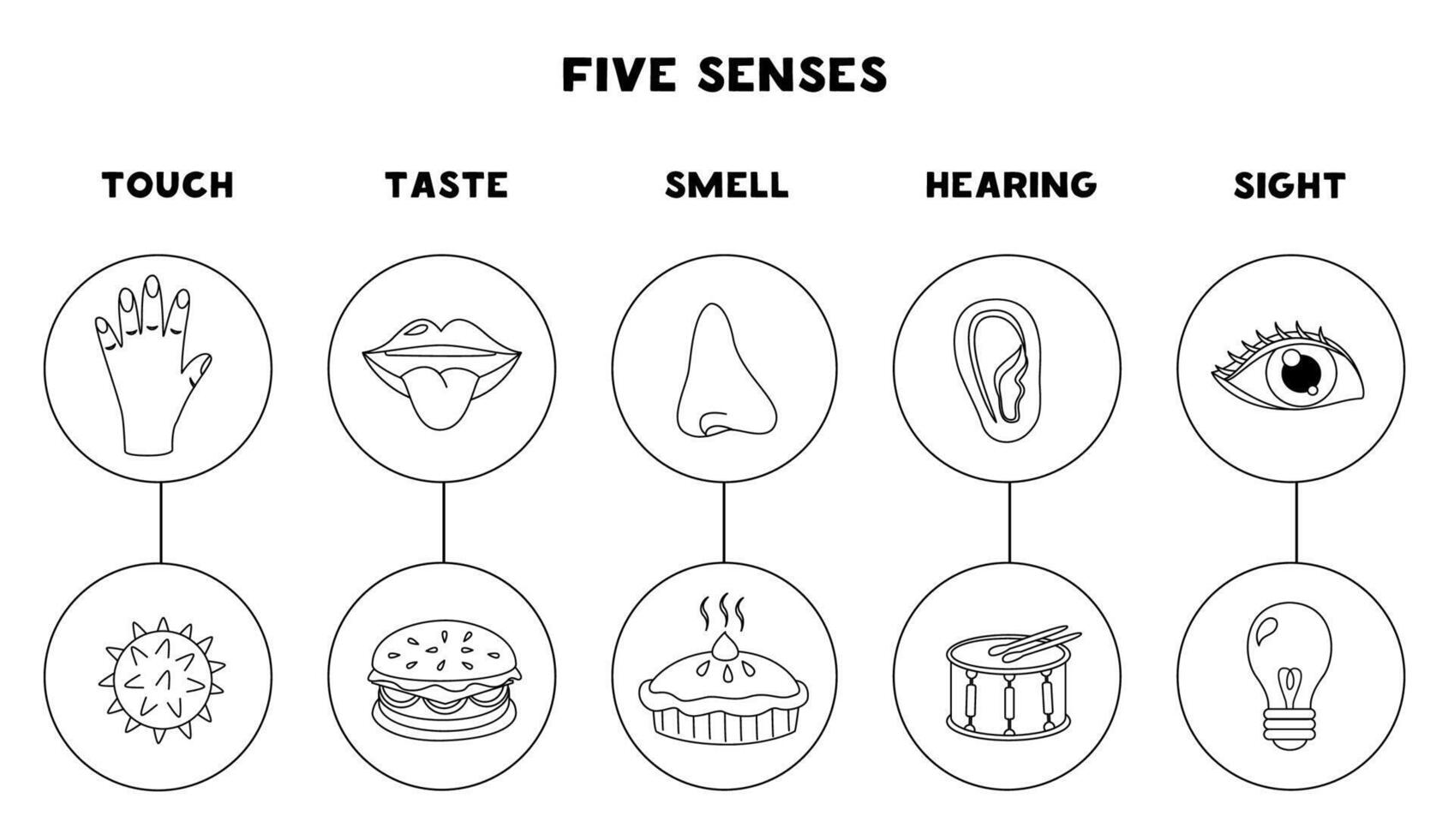 Five senses organs, illustration. Sight hearing taste touch smell. Black and white worksheet. vector