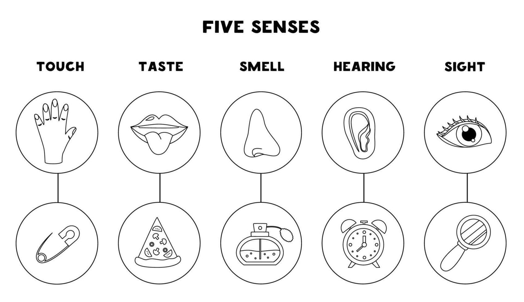 Five senses organs, illustration. Sight hearing taste touch smell. Black and white worksheet. vector