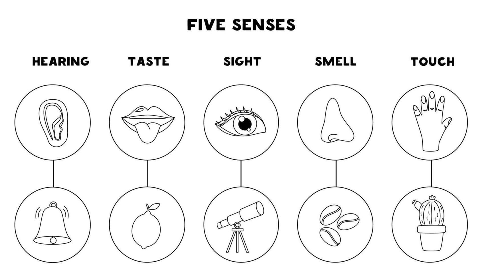 Five senses organs, illustration. Sight hearing taste touch smell. Black and white worksheet. vector