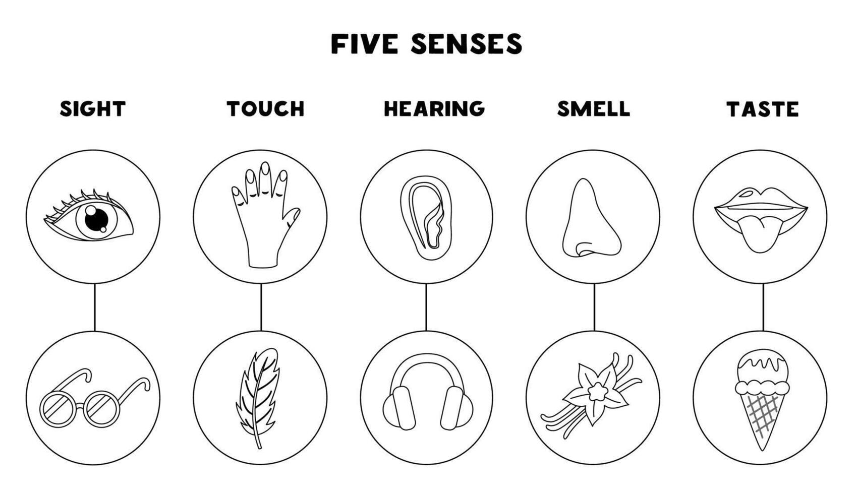 Five senses organs, illustration. Sight hearing taste touch smell. Black and white worksheet. vector