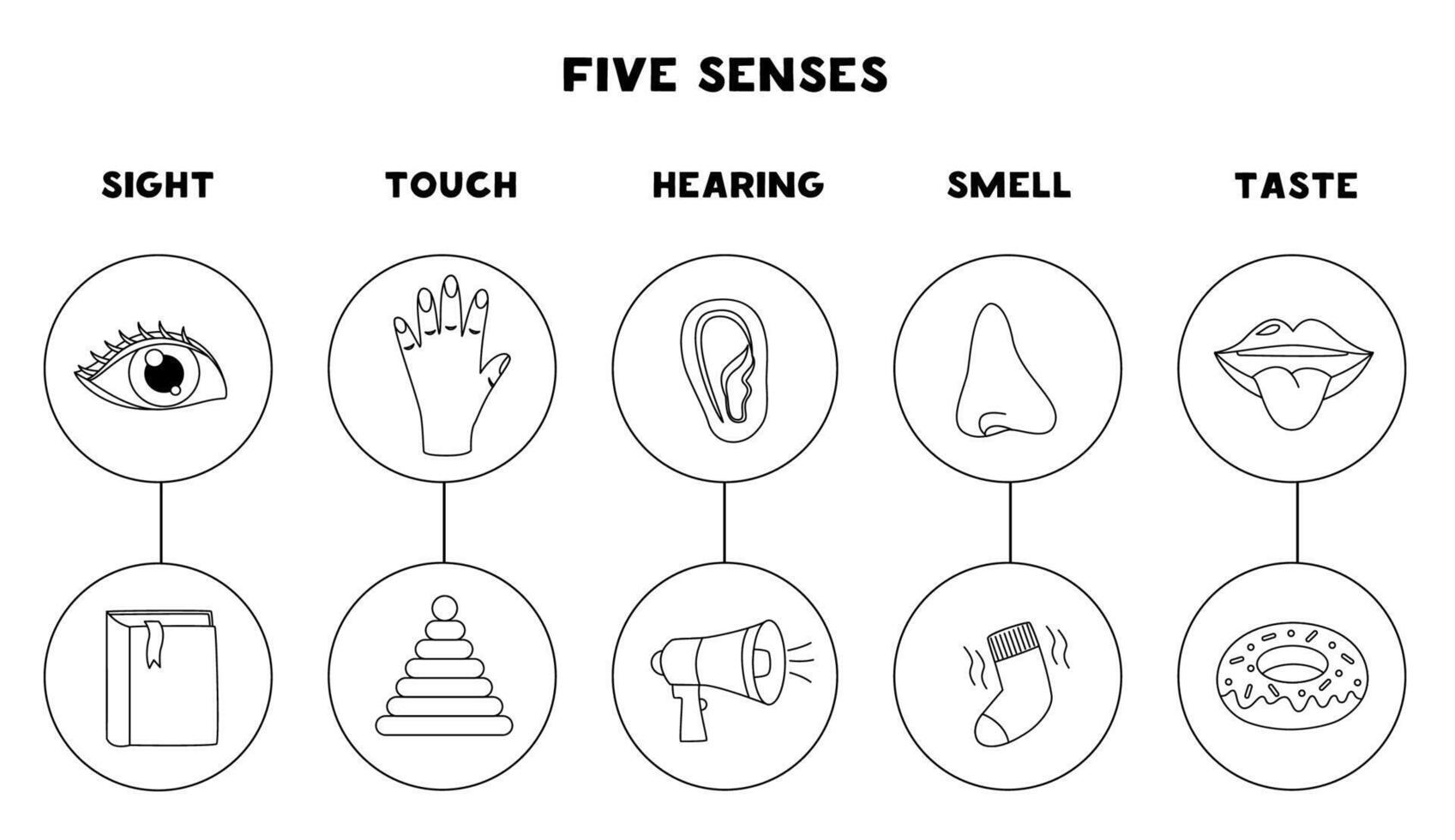 Five senses organs, illustration. Sight hearing taste touch smell. Black and white worksheet. vector