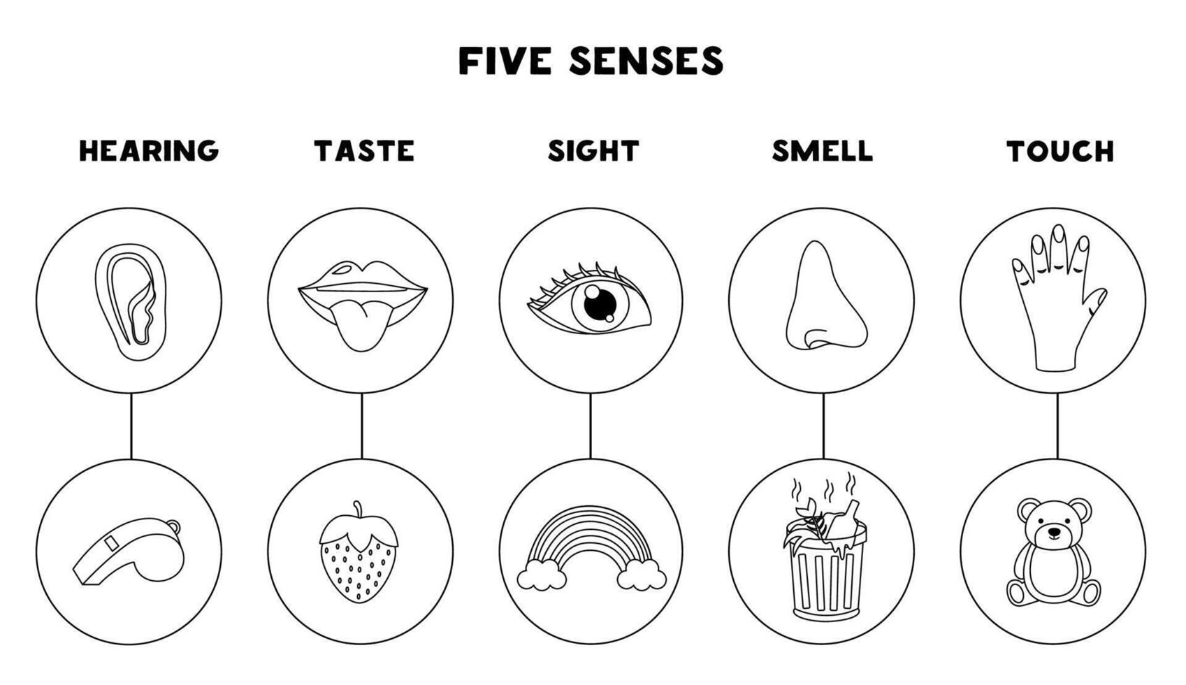 Five senses organs, illustration. Sight hearing taste touch smell. Black and white worksheet. vector