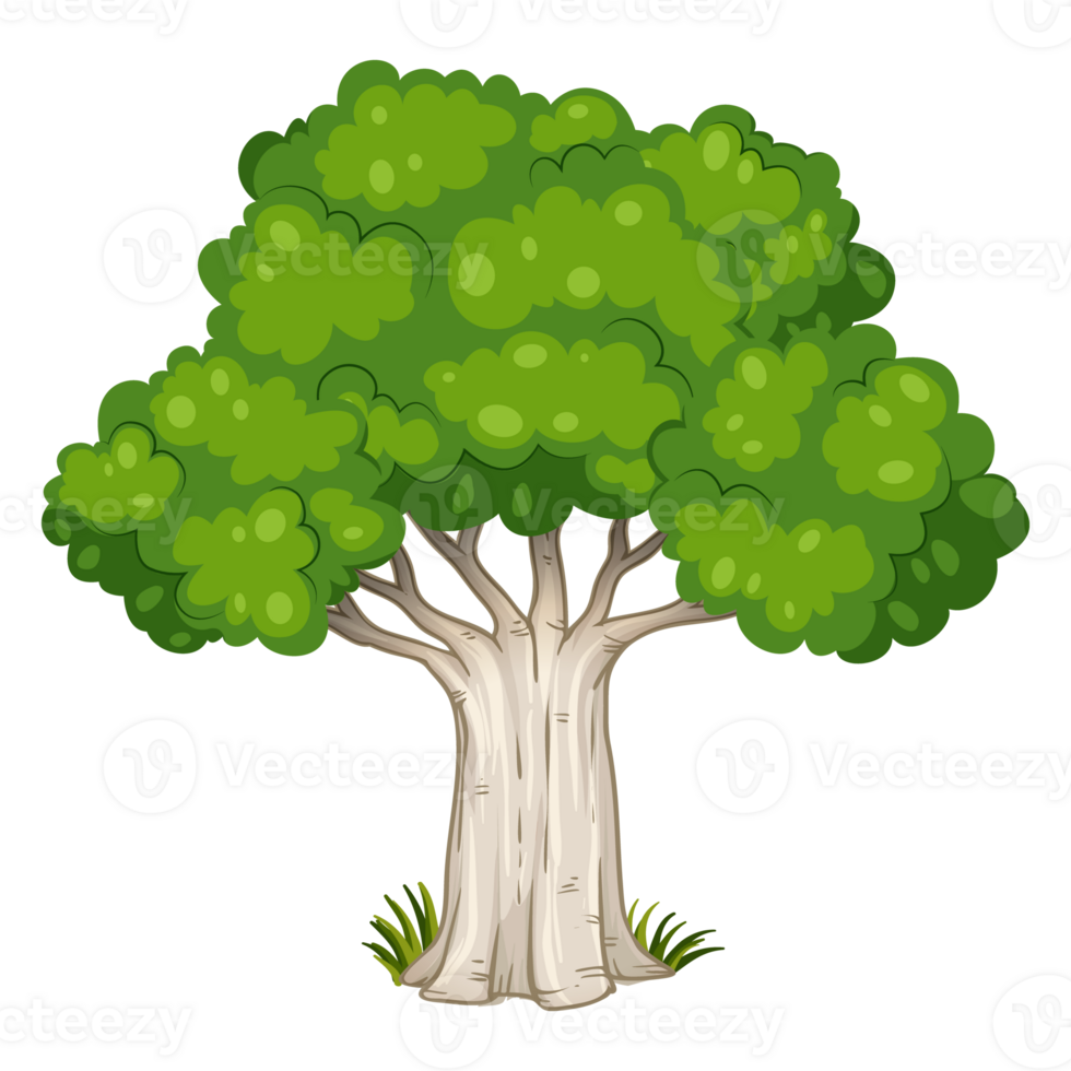 Green tree, Tree on transparent background png