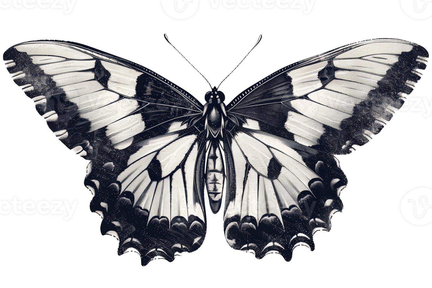 Retro vintage butterfly cut out illustration png