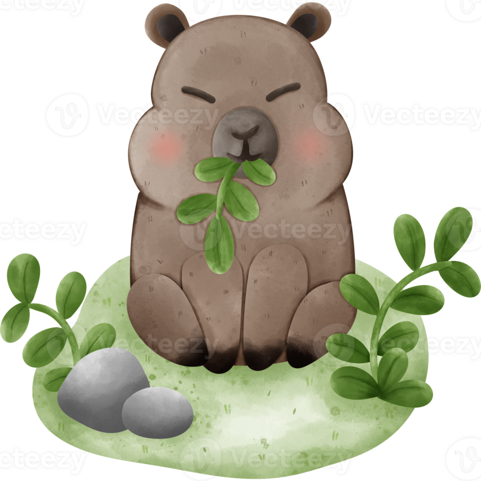 Cute capybara chewing grass with illustration of grass and rocks. png