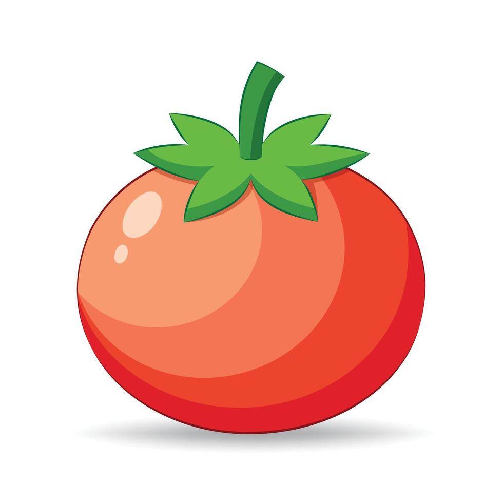 Tomato Juicy, Nutrient-Rich Fruit Essential for a Healthy Diet vector