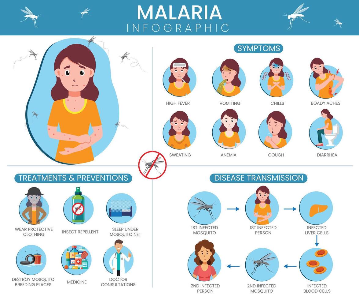 Malaria Infographics Transmission, Symptoms, Prevention, and Treatment vector