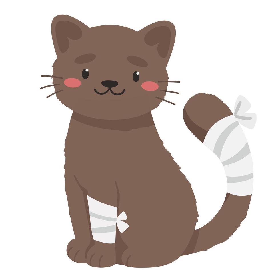 Cute cat with tail and paw injury, veterinary treatment, injured animal, pet dressing. vector
