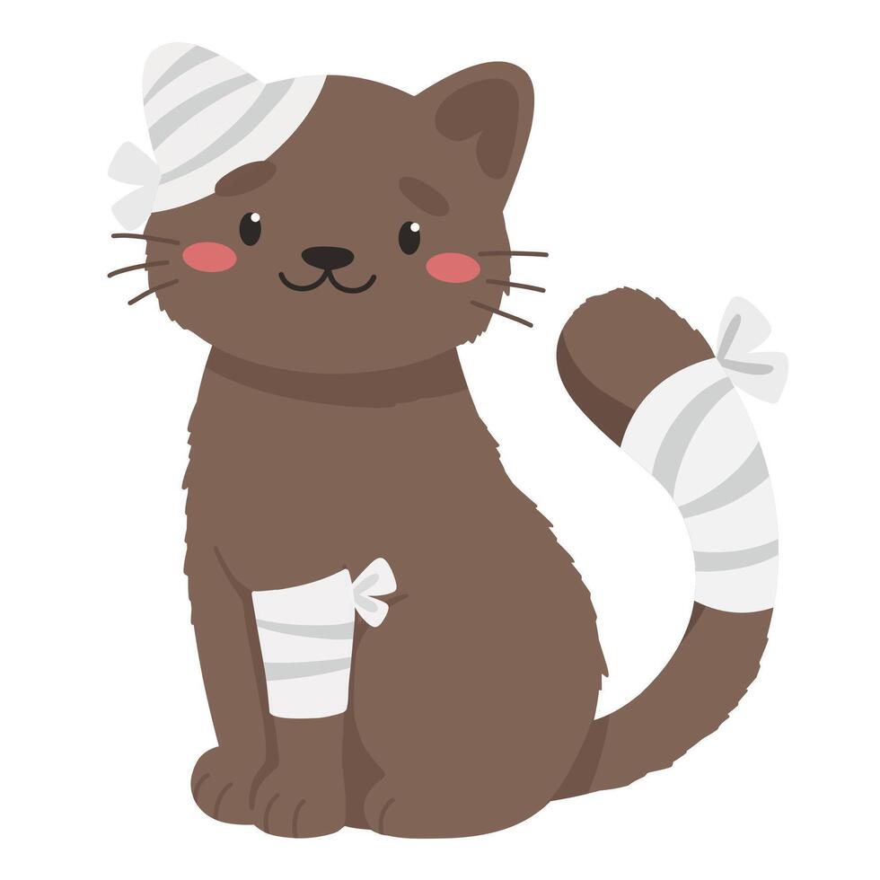 Cute cat with injury to tail, paw and ear, veterinary treatment, injured animal, bandaging pet. vector
