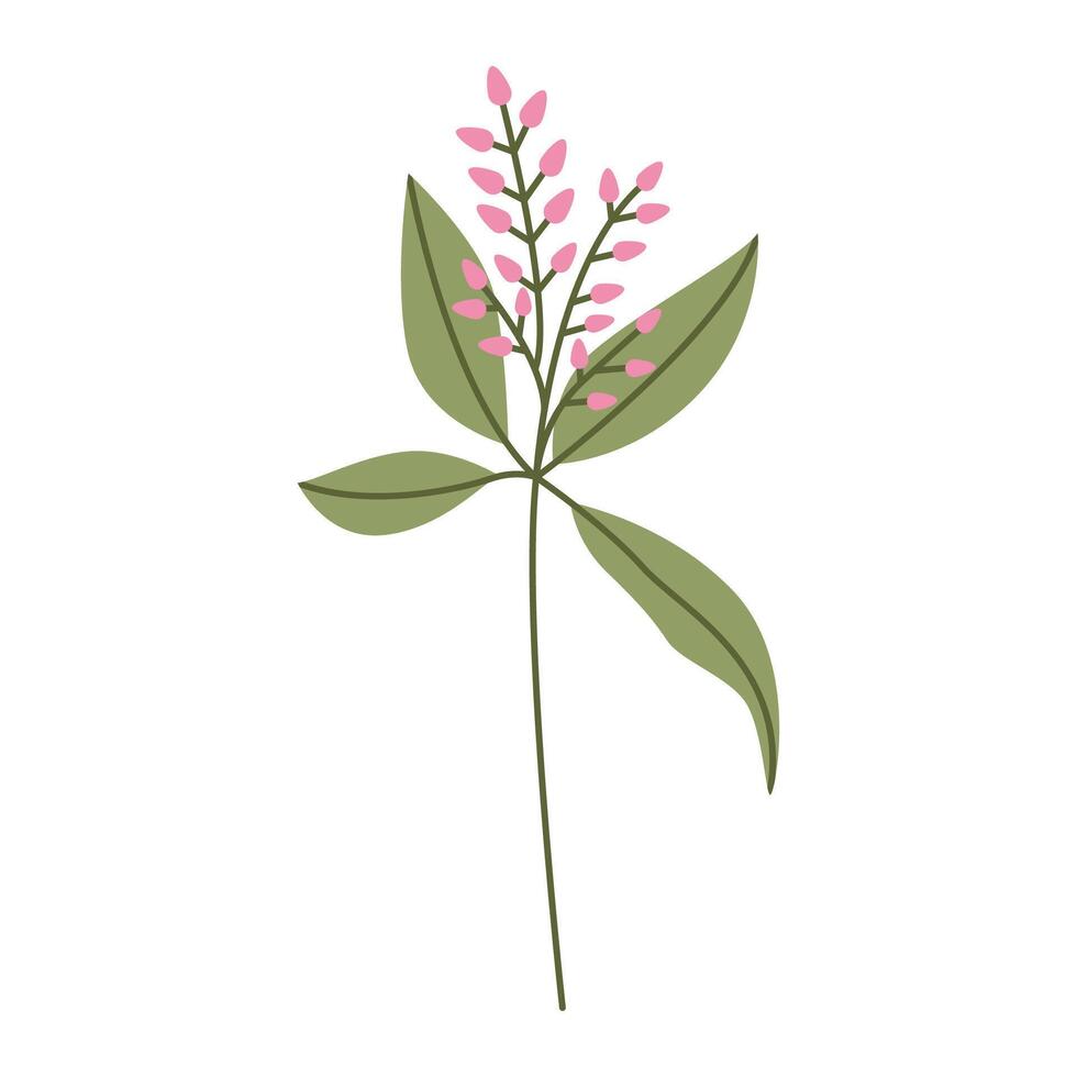 Wild flower illustration isolated on white background. vector