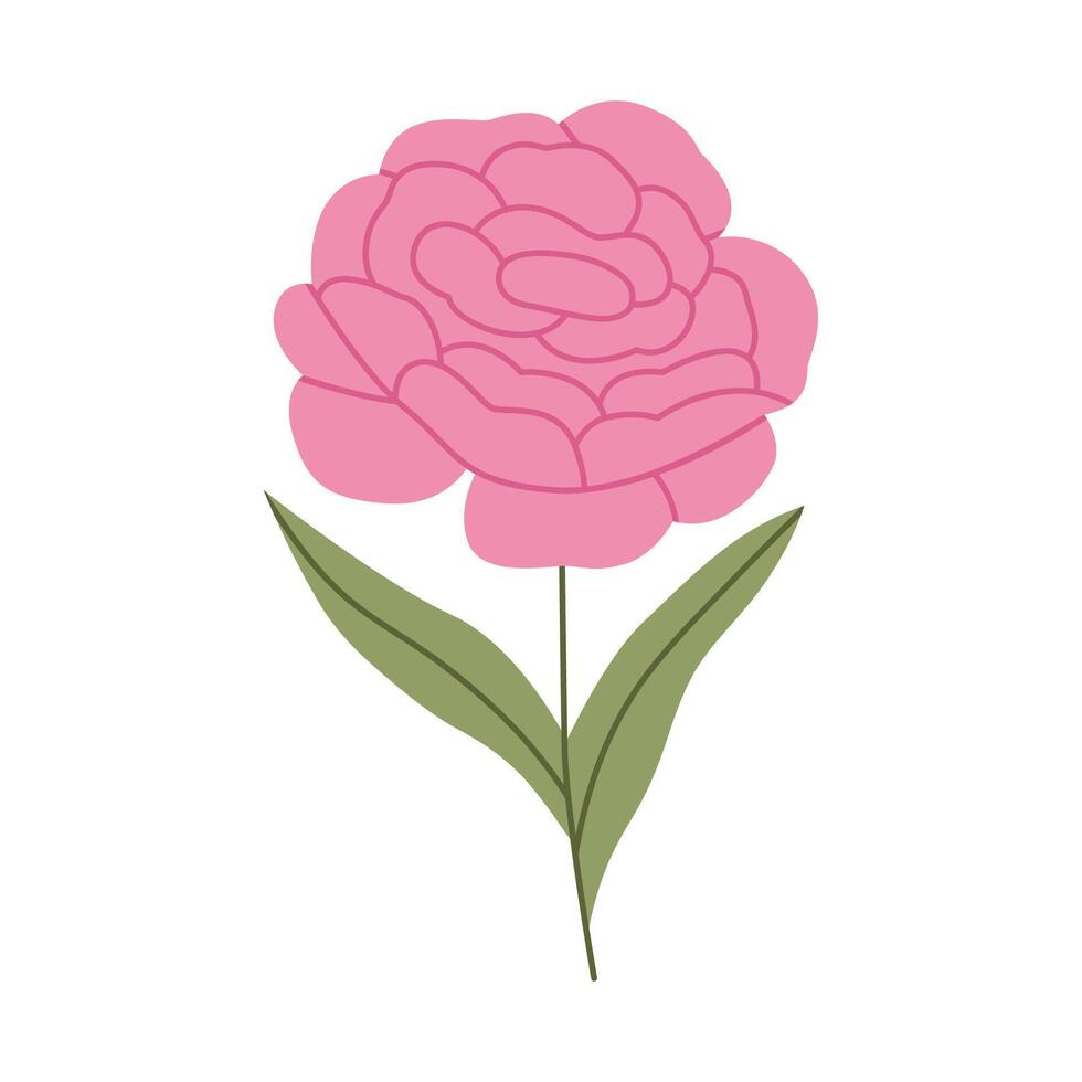 Simple pink peony flower. Flat illustration isolated on white background. vector