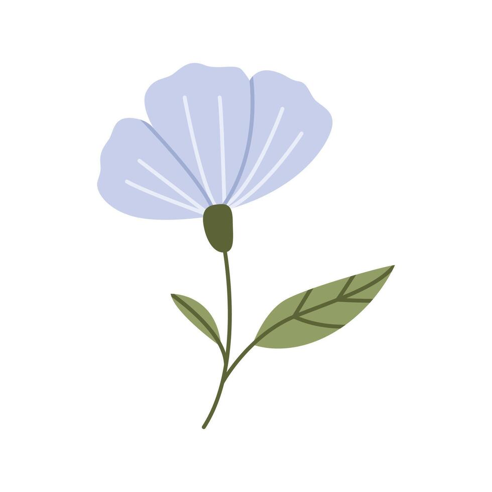 Gentle wild flower. Wild field floral plant. Flat illustration isolated on white background vector