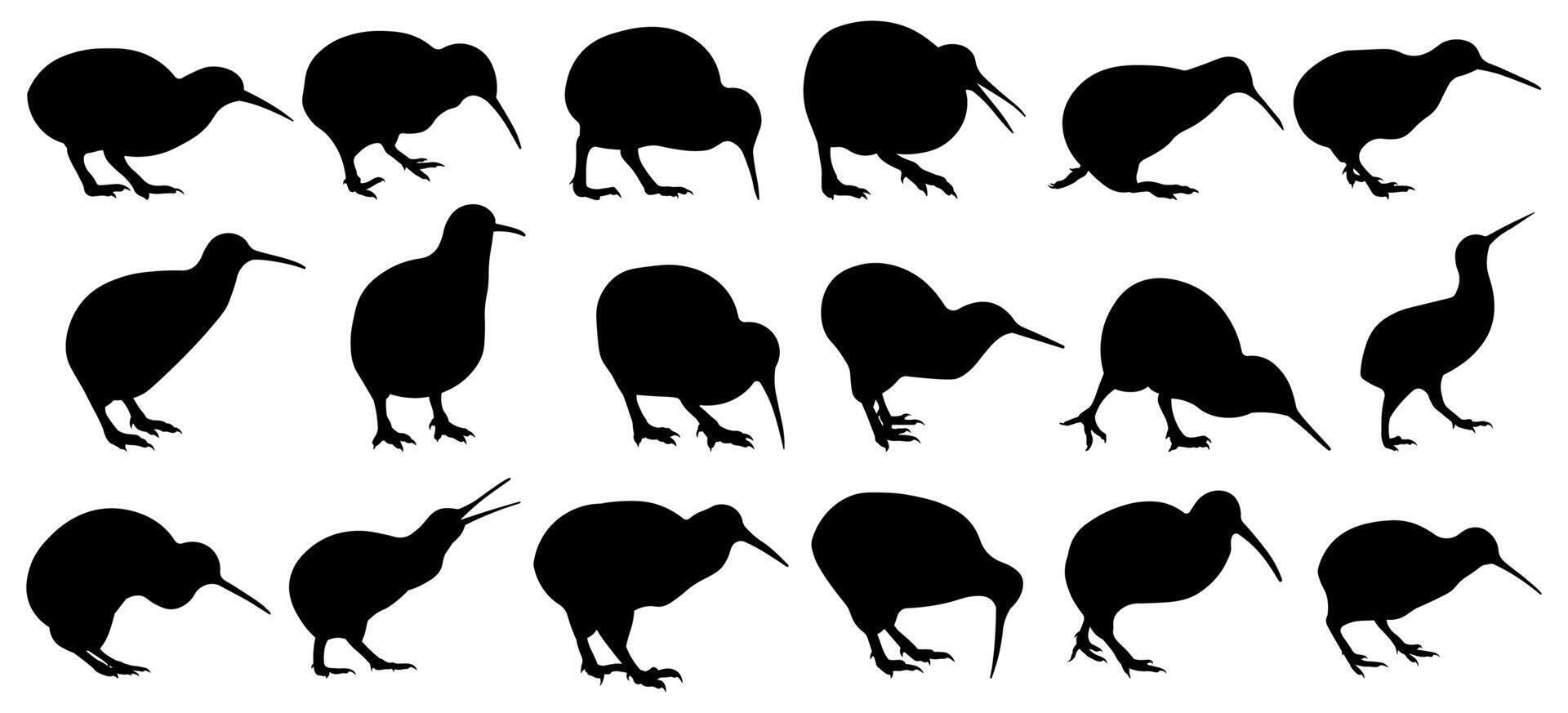 Kiwi bird silhouette illustration set vector