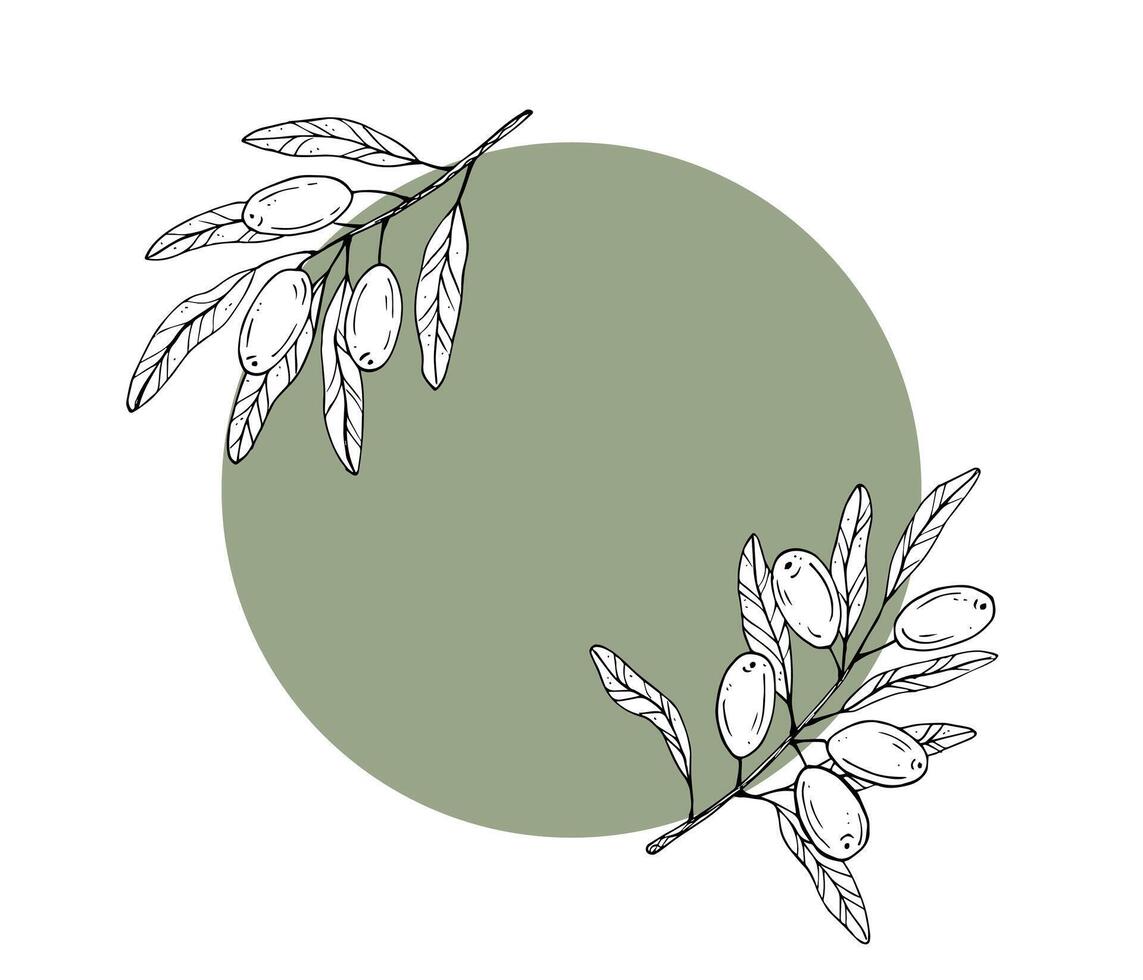 Graphics botanical black and white frame with olive branches and colored circle vector