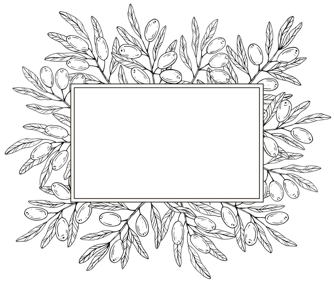 Graphics botanical black and white frame with olive branches vector