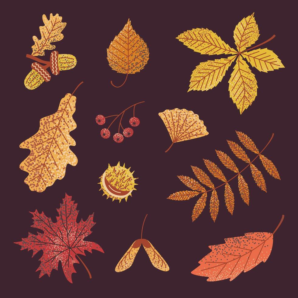 Colorful autumn leaves illustration on dark background. Perfect for seasonal designs, greeting cards, and digital projects. Warm, inviting fall theme with detailed leaf textures. vector