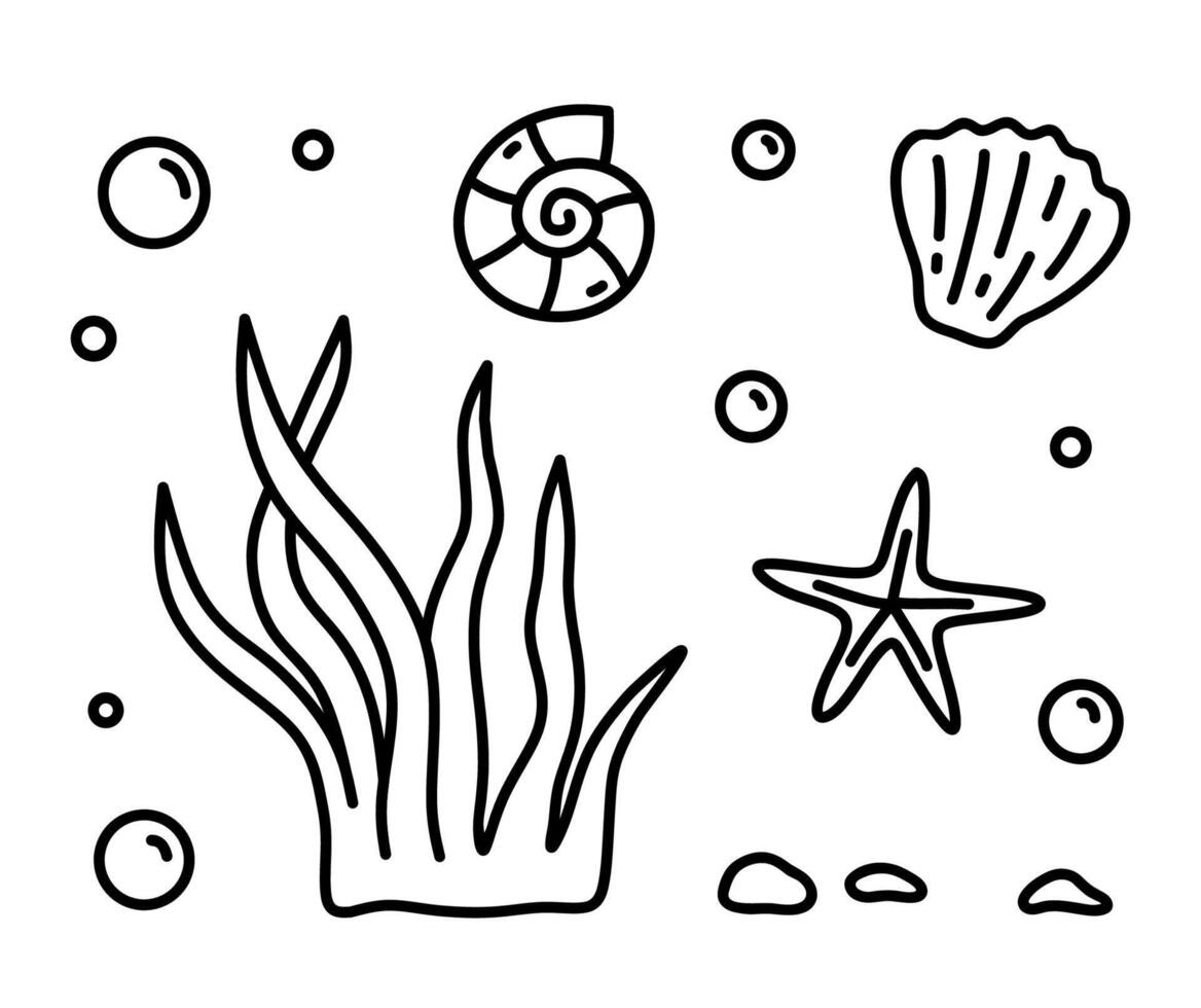 Seaweed and seashells isolated on a white background. hand-drawn illustration in doodle style. Perfect for logo, various designs. Underwater world. vector