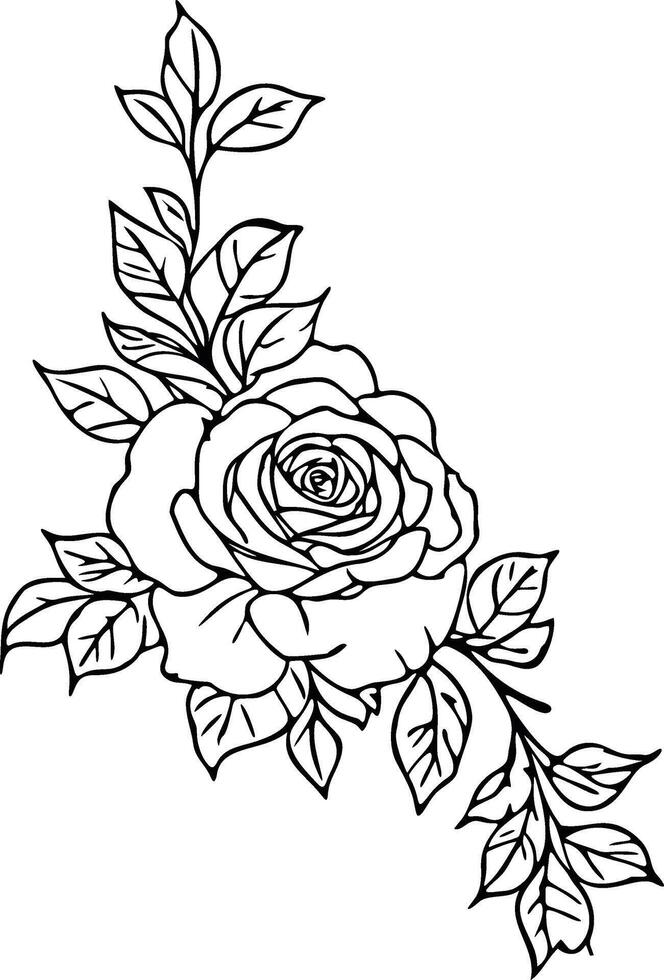 Rose with leaves and branches black and white outline illustration vector