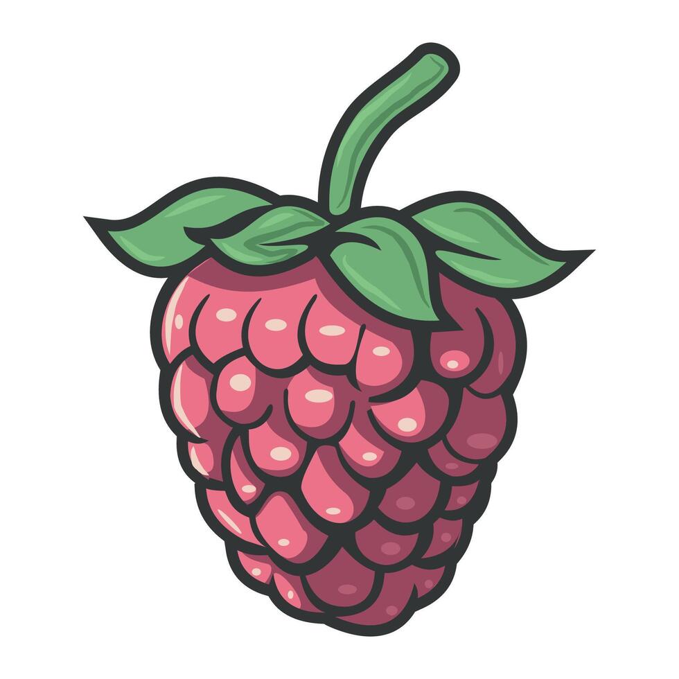 red fruit illustration vector