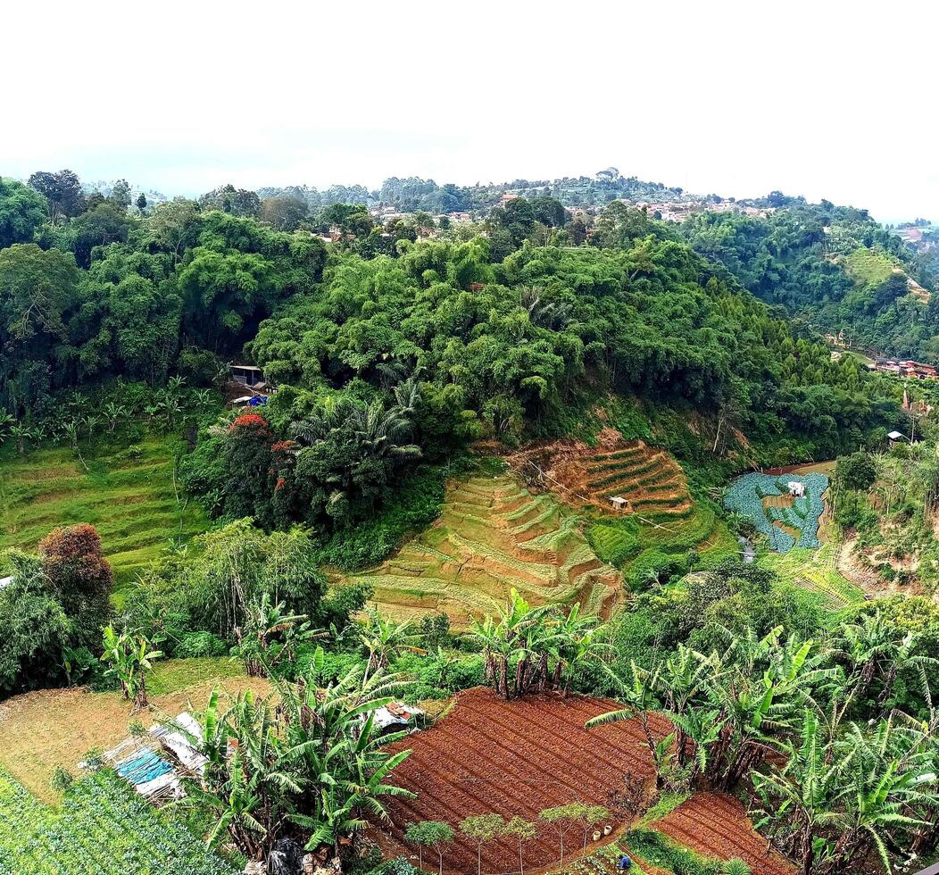 view of the fields from the top of the hill photo