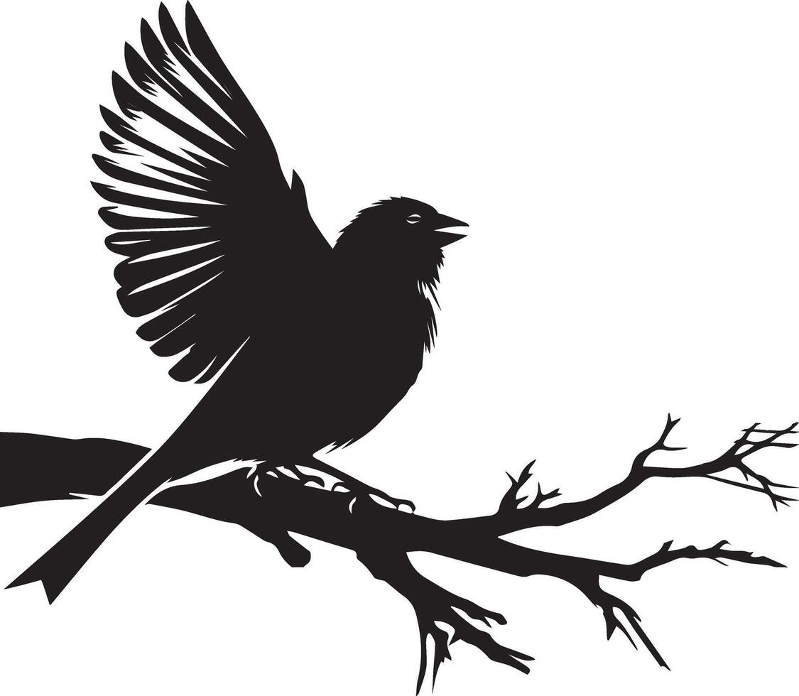 bird silhouette on branch vector