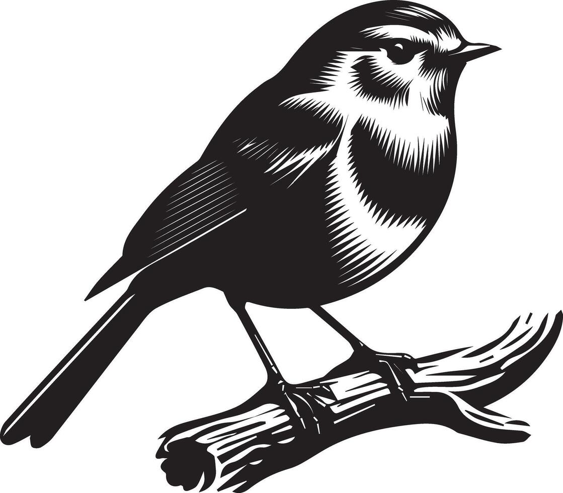 black and white illustration of a bird sitting on a branch vector