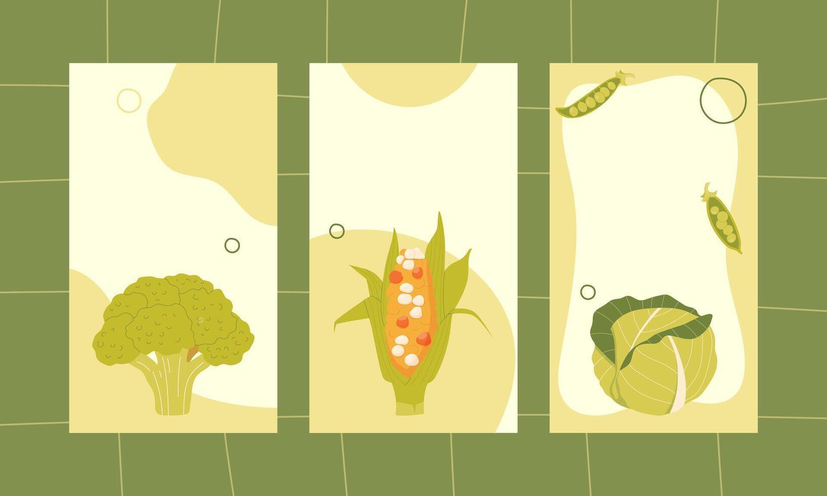 Harvest, collection of vegetables story template vector