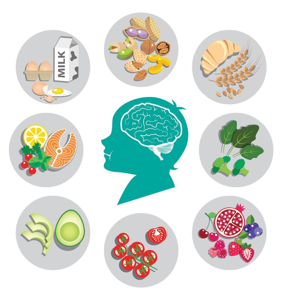 Best foods for brain health and energy vector