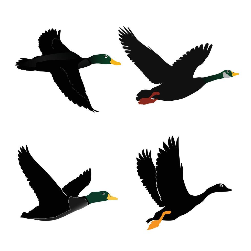 Hand drawing animal silhouettes set design vector