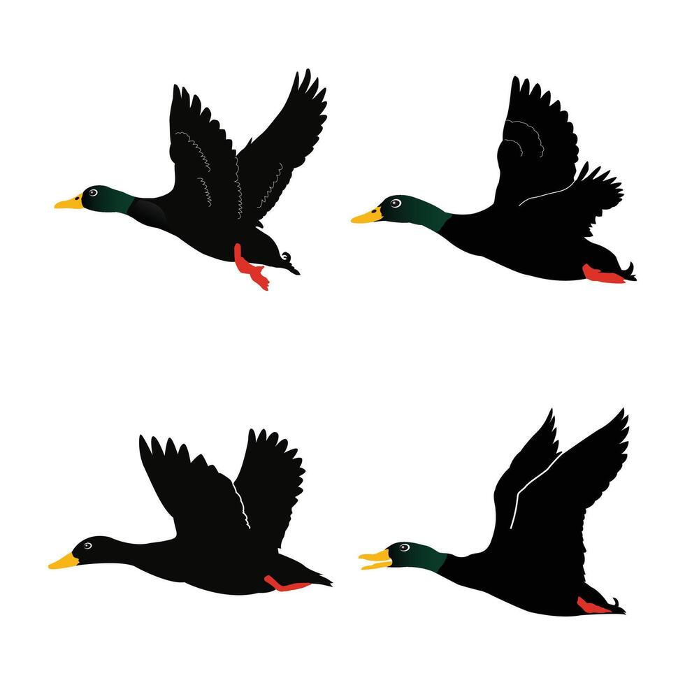 Hand drawing animal silhouettes set design vector