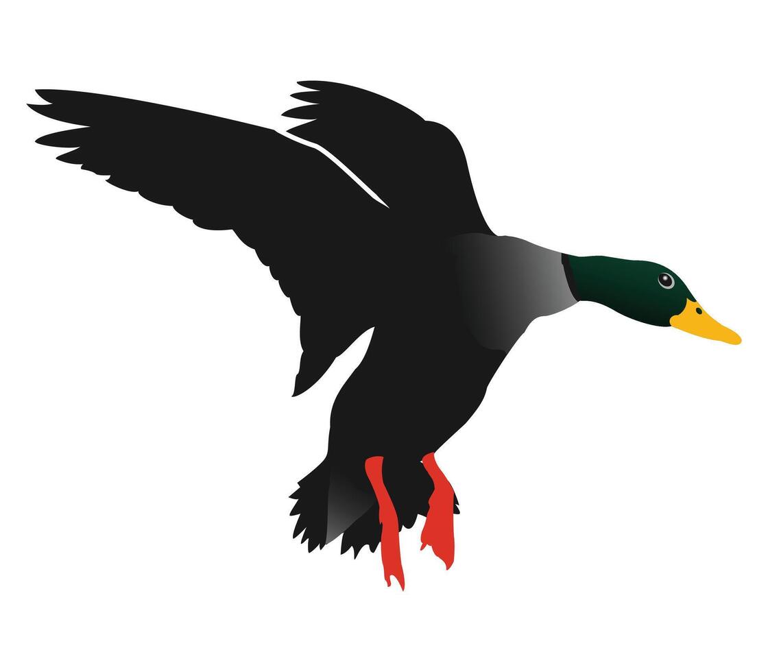 Hand drawing animal flying duck silhouettes design vector