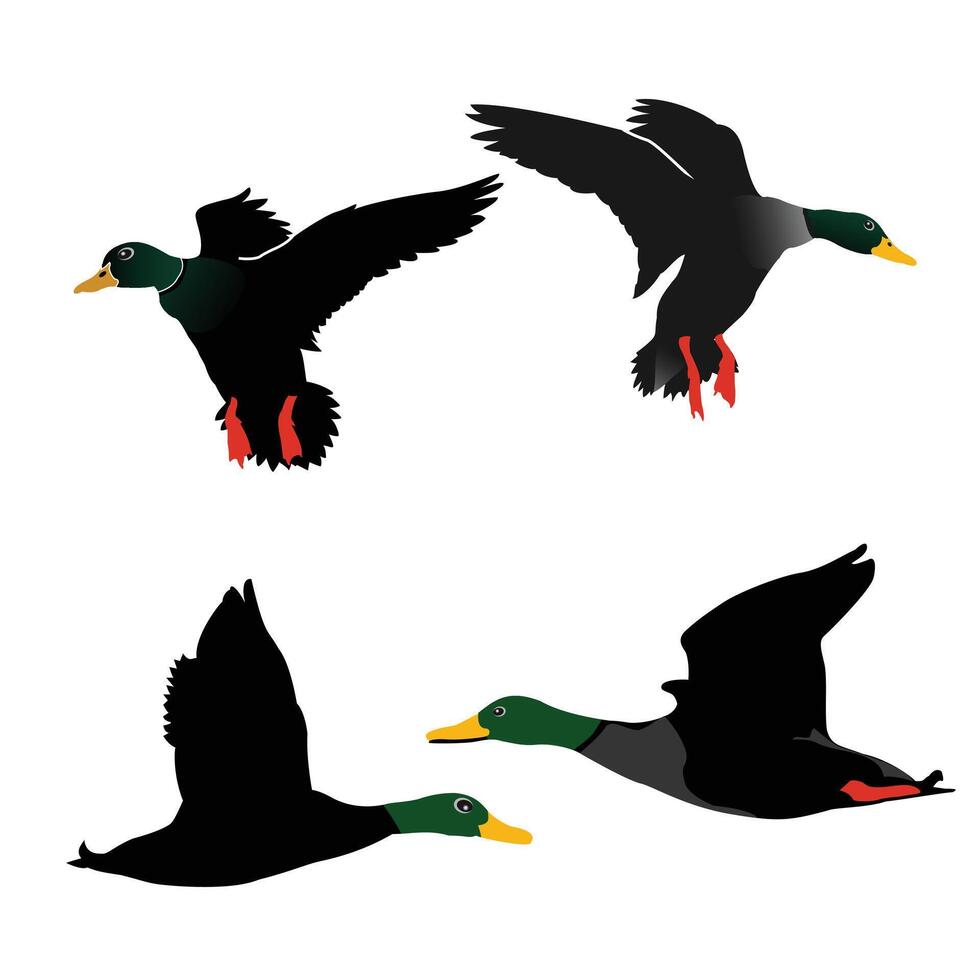 Hand drawing animal silhouettes set design vector