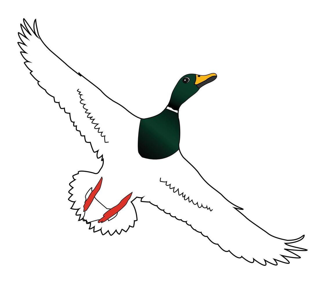 Hand drawing animal flying duck silhouettes design vector
