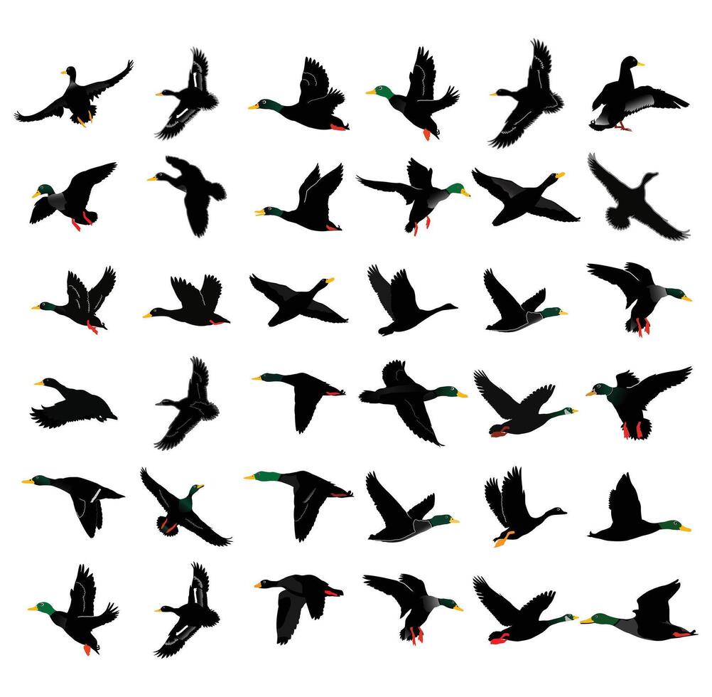 Hand drawing animal silhouettes set design vector